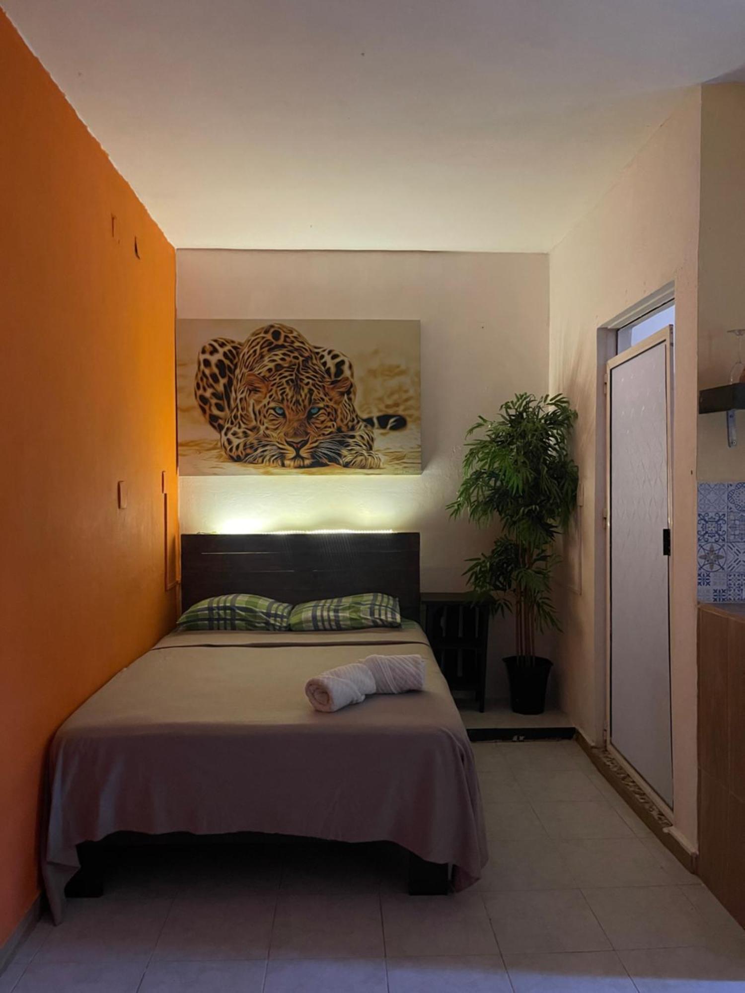 Casa Mar Lejlighed Playa del Carmen Eksteriør billede